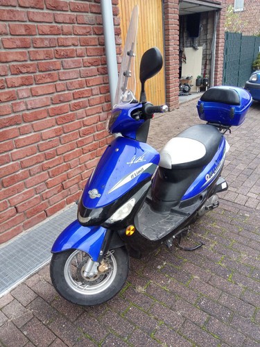 Rex 450 - rex,